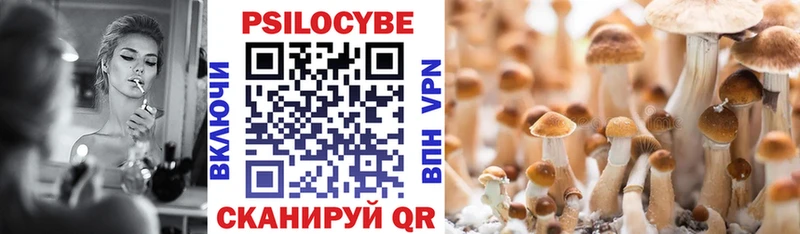 Купить закладки  Ак-Довурак  Галлюциногенные грибы Psilocybine cubensis 